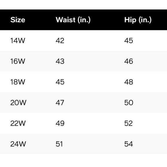 Swim Solutions Plus Size Mid-Rise Tummy-Control Swim Bottoms Black Size 22W New - Picture 14 of 14